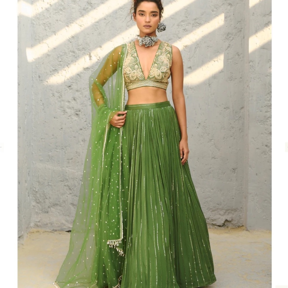 Green Embellished Indian Crop Top with Sheer Dupatta/indian Pakistani lengha fr - Picture 4 of 15